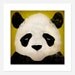 Giant PANDA Bear GRAPHIC ART Illustration 12x12 giclee print Signed