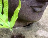 Vintage Hawaiian flower frog, heavy lead base for tall tropical flowers or paper ephemera