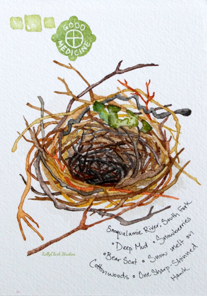 Good Medicine: Nestering  - An Original Watercolor