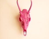 SALE Tickled Pink // Genuine Deer Skull Painted & Swarovski