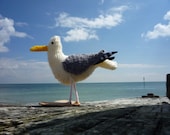 Seagull knitting pattern - small Herring Gull