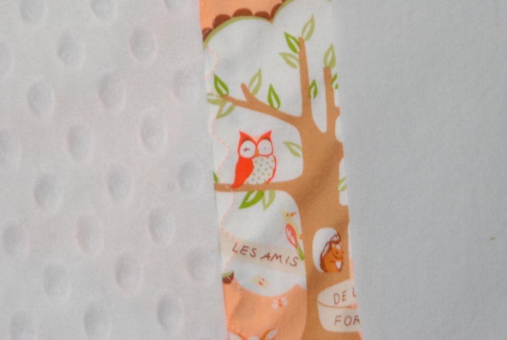 Fox and Owl Baby Girl Blanket - Les Amis with White Minky Bubble Dot Baby Blanket- Ready to Ship