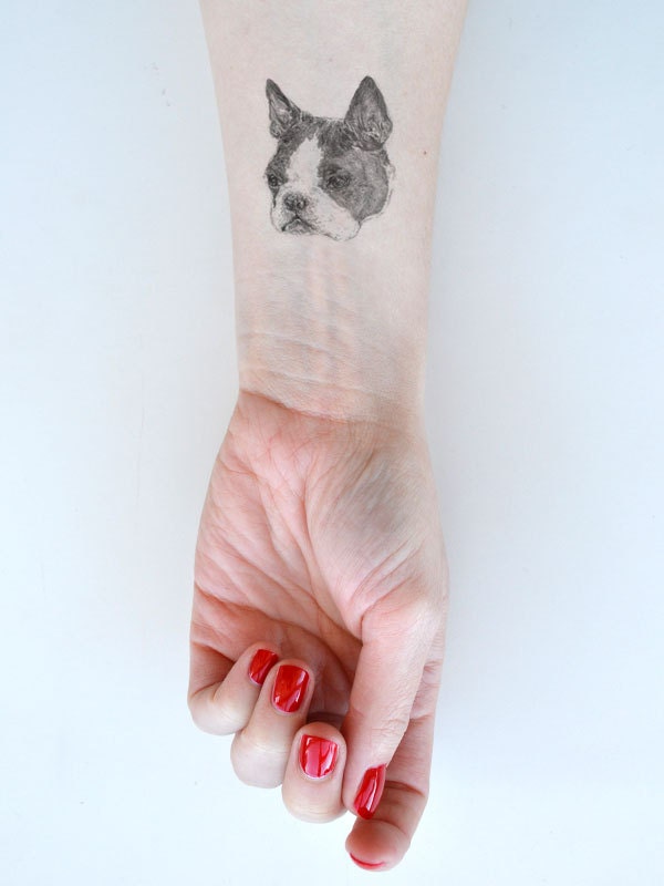 PRE ORDER temporary tattoos -  1 fake dog tatts - puppy tattoo - pug - sausage dog - dalmatian - frenchie - bulldog - spaniel - ONE