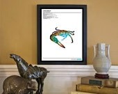 Galactic Fiddler Crab // Zoological Universe Series // 8x10 Science and Nature Fine Art Print
