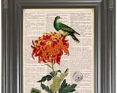 BOGO SALE Orange flower Green bird French ephemera printed as dictionary art print on old antique dictionary book page Item No. 535