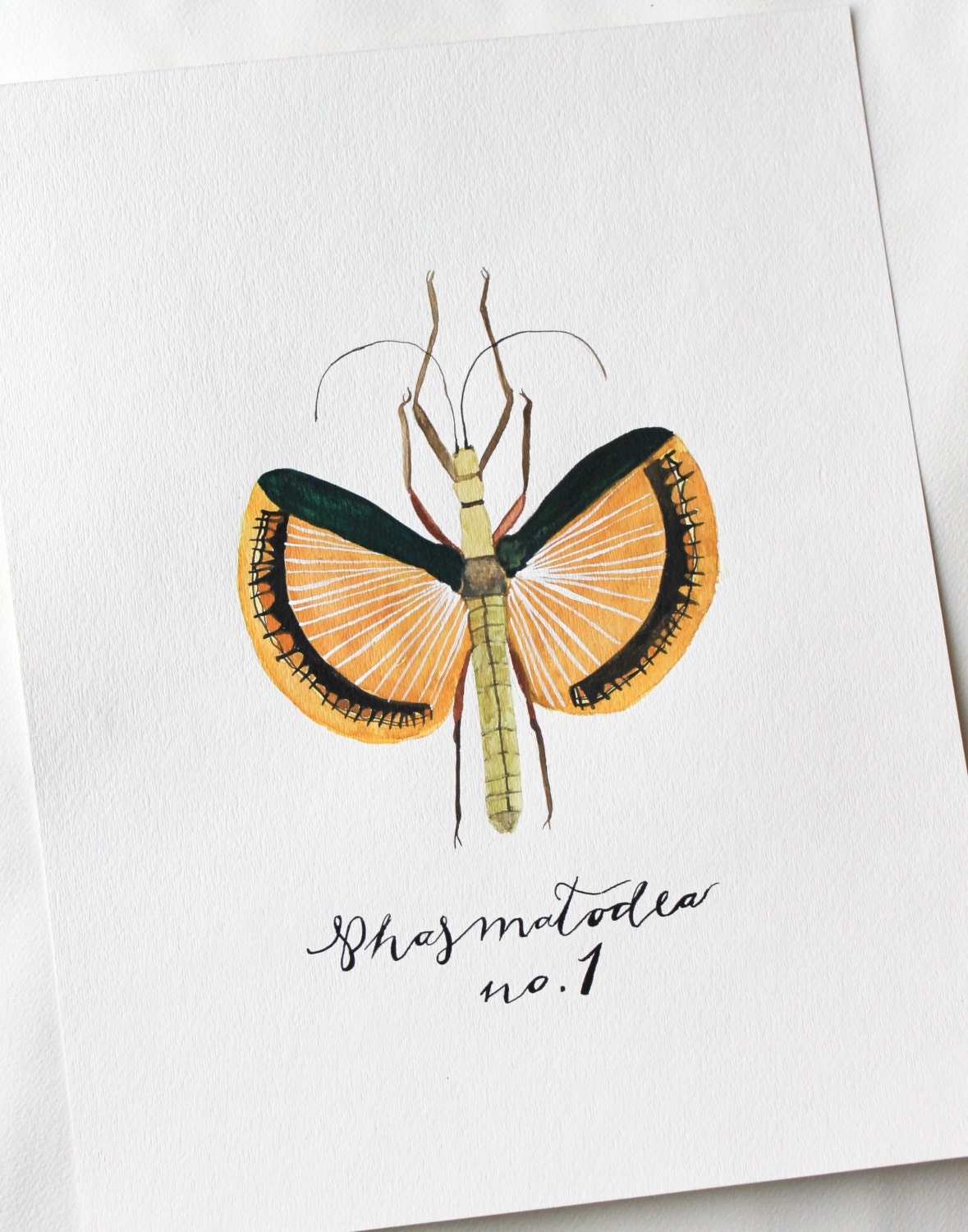 Phasmatodea No.1 - Original Painting - Watercolor Art by Sarah Storm