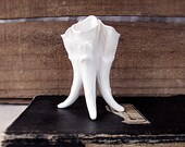 vintage vase - antique Victorian white specimen holder - 4 foot horn shape - bud vase