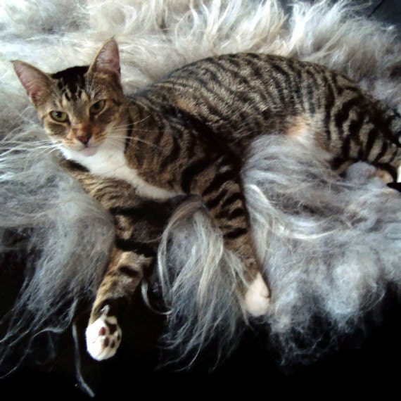 Sheep-friendly Pet Bed Mat Wool Fleece Felted Rug - Navajo Churro Light Gray