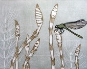 Horsetail - Original Woodblock Print by Kristen Etmund