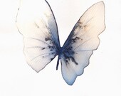 pale blue grey and white gold butterfly original watercolour and ink painting