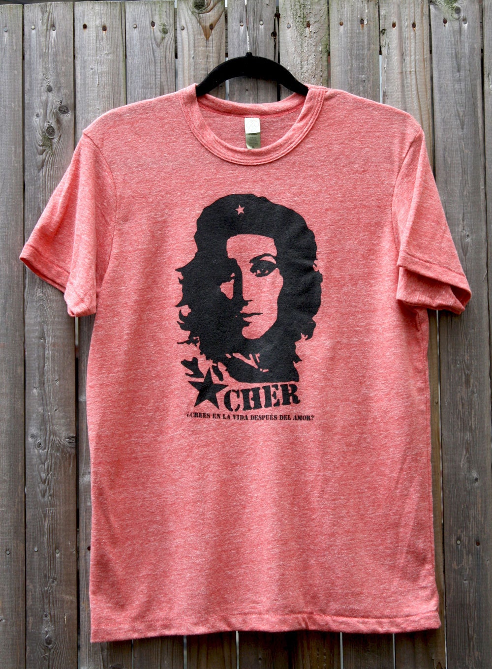 Che / Cher Guevara--Do You Believe In Life After Love