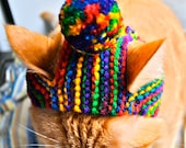 Pom Pom Cat Hat  - Rainbow