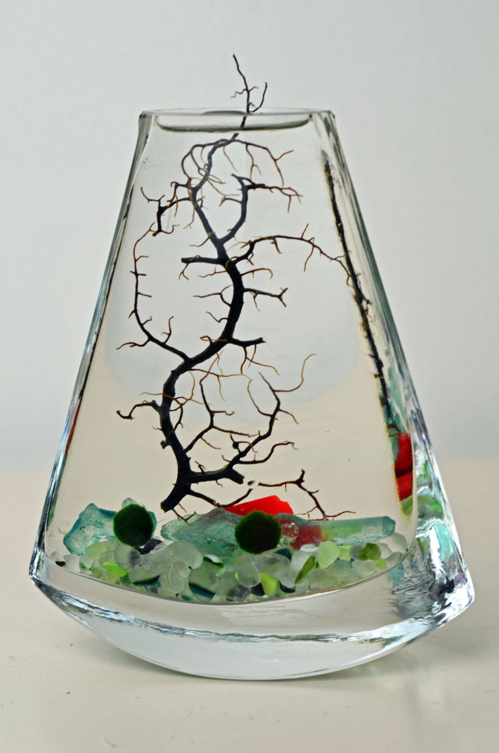 Marimo Aquatic Terrarium // Japanese Moss Ball Aquarium // Flat Vase // Sea Fan // Sea Glass  // Green Gift // Home Decor
