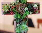 Succulent Living CROSS Hang or Stand Centerpiece Outdoor Decor Perfect Unique Gift and Home Decor
