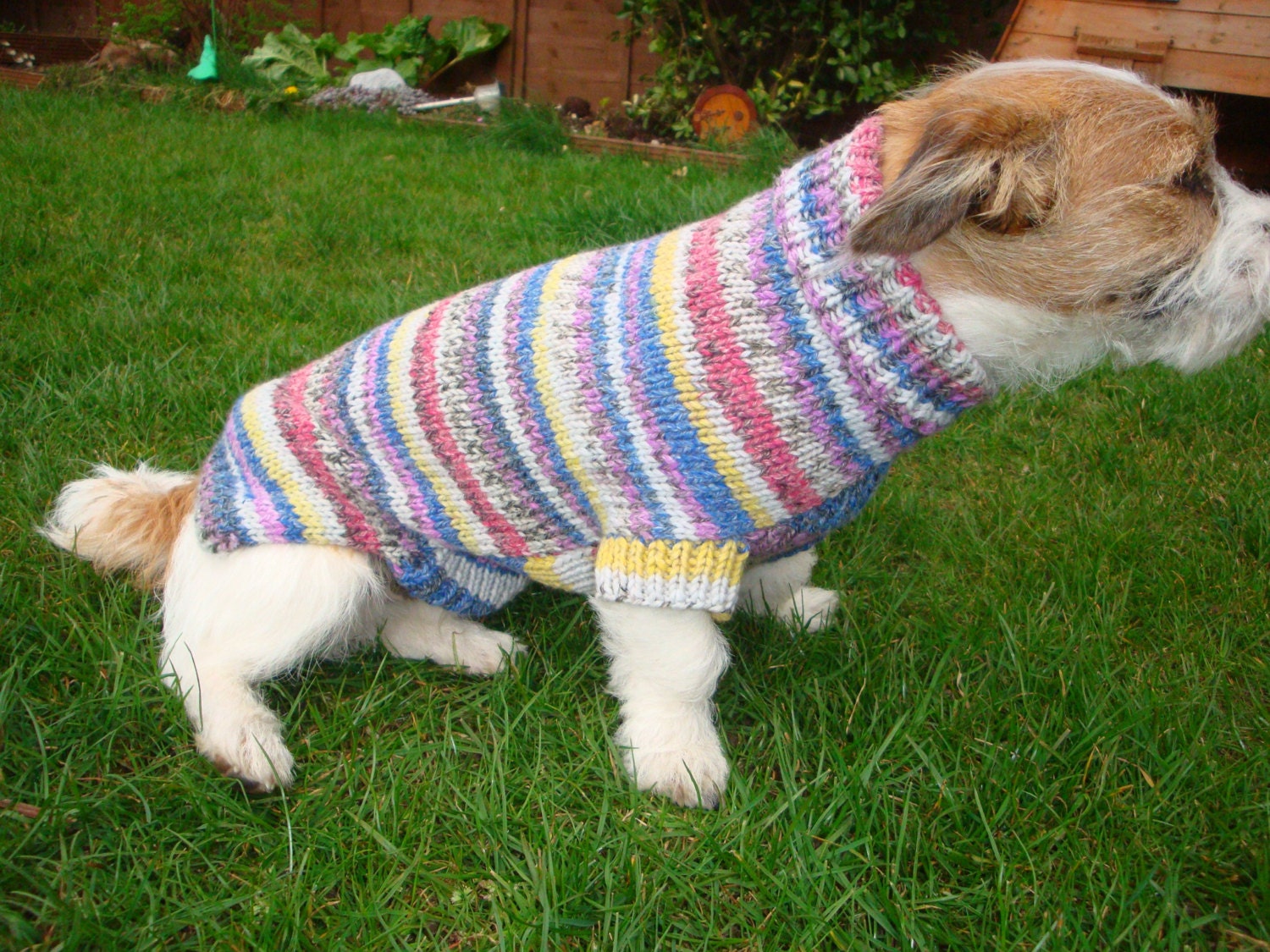 Dog Sweater/Coat - Hand Knitted - Size Medium - Multi Coloured Random Yarn