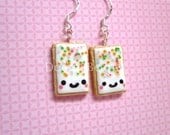 Pop Tart Cute Kawaii Polymer Clay Earrings