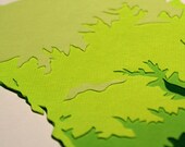 South Carolina Topography State 8x10