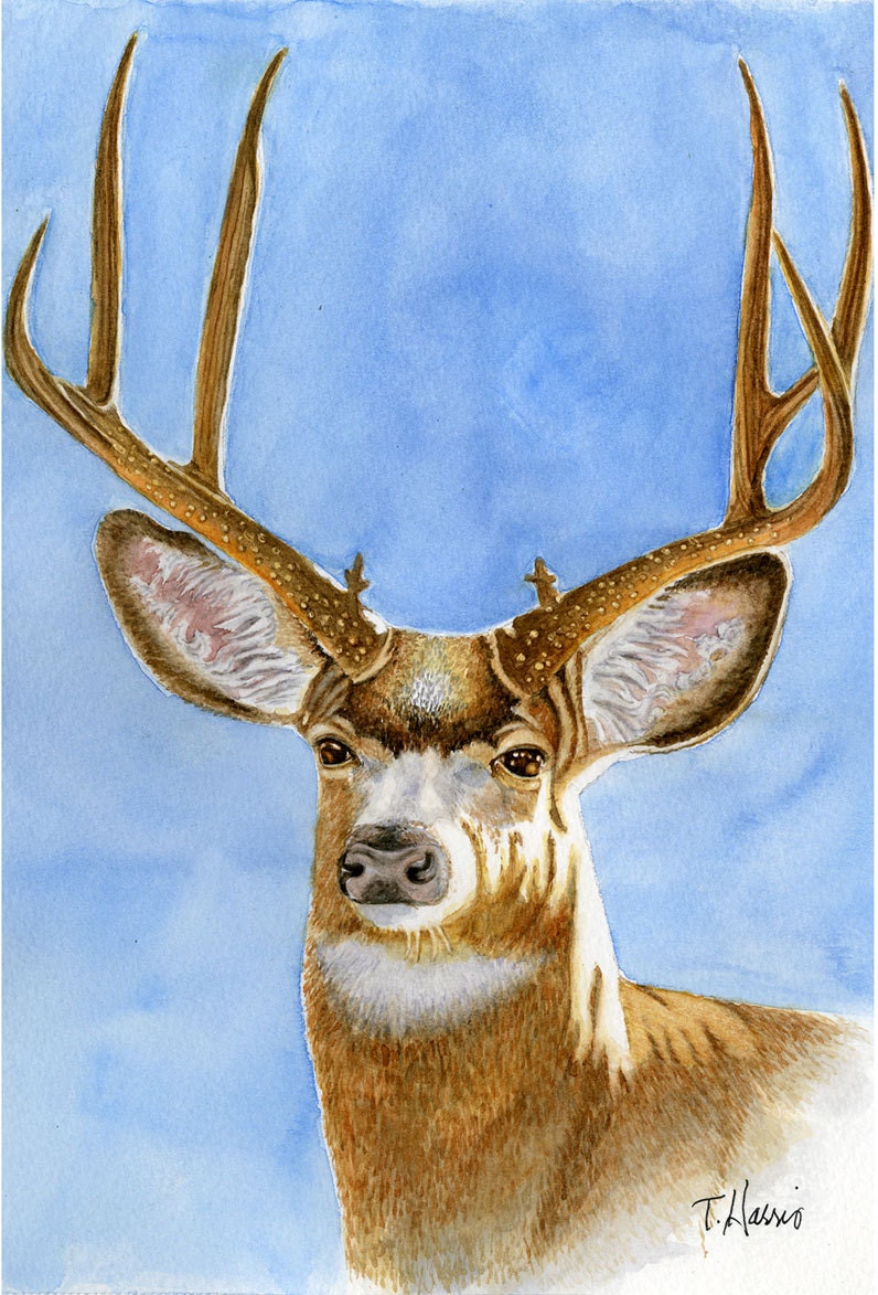 Deer stag painting 5x7 prints from original watercolor painting wildlife painting wall art earthspalette