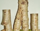 Unique Body Figure Birch Natural Candle Holder or Sculpture, 12" high
