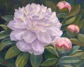 White Peony Original Oil Painting on Canvas 16x20 Janet Zeh