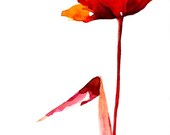 Original flower drawing on paper - Ink wash color/ watercolor/modern art flower/flower painting/contemporany flower