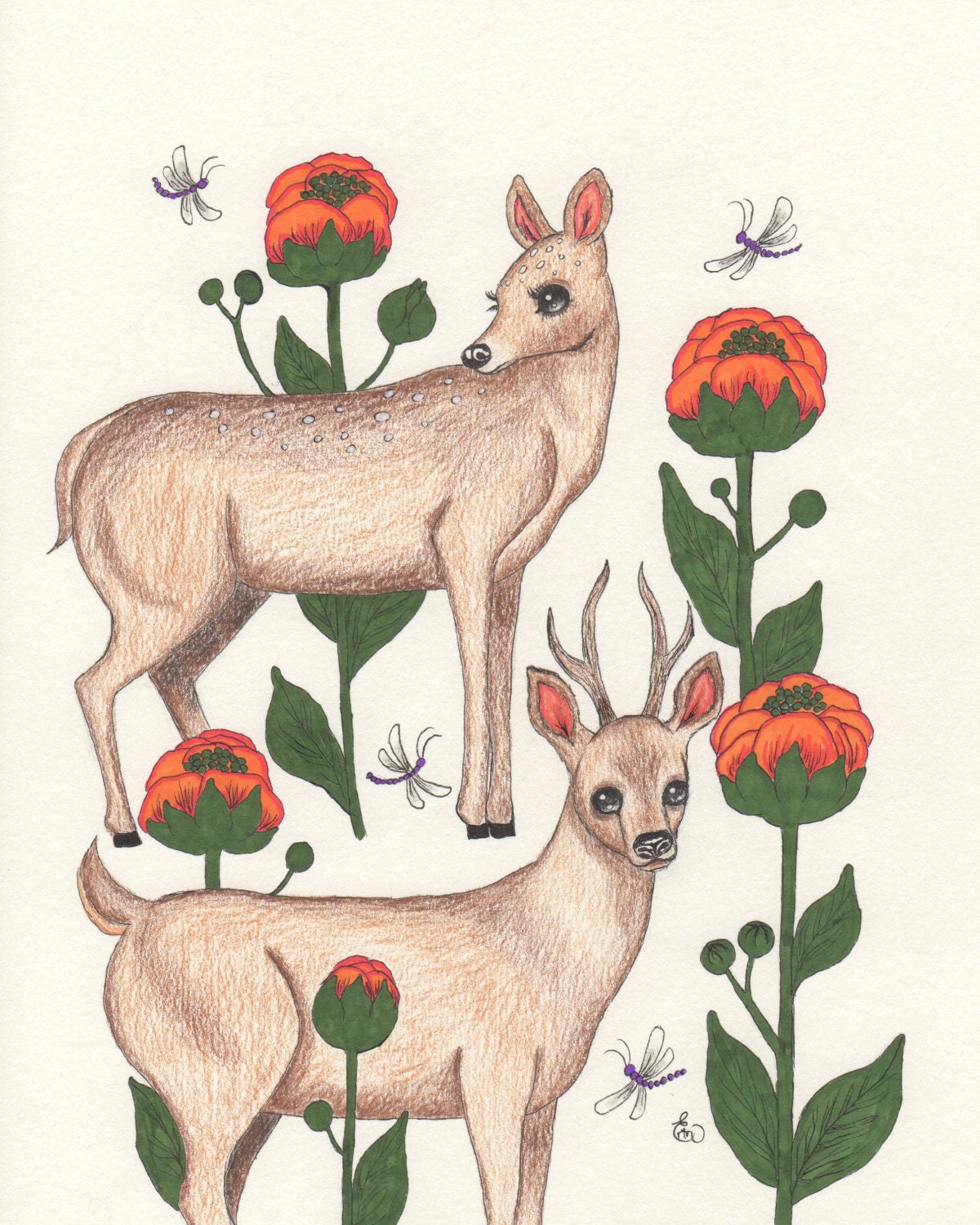 Deer dragonfly and orange flower art print 8x10