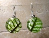 Stair Step Moss (Hylocomium splendens) aka Mountain Fern Moss Earrings