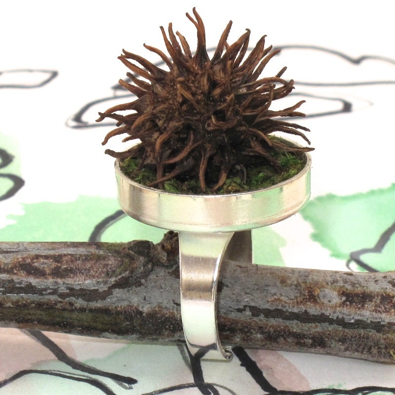 Sweet Gum Ball Ring with Moss, Moss Ring, Moss Jewelry, Earth Day Jewelry, Earth Day, Eco Friendly, Terrarium, Mothers Day Ring