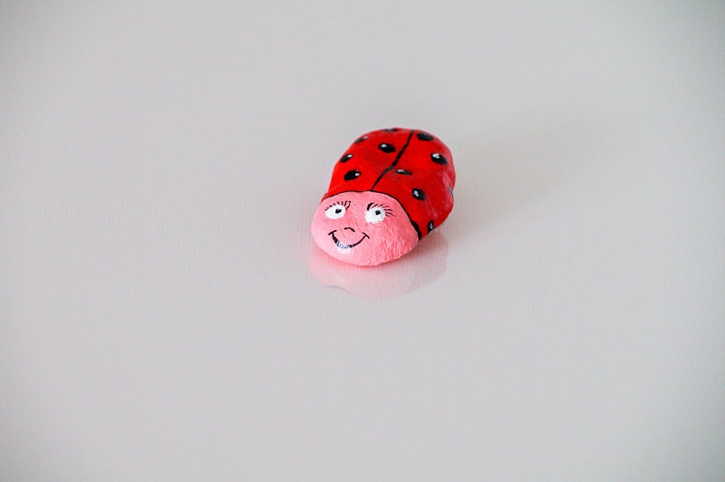 Red Ladybird Brooch Funny jewelry Animal pin Lovely cute Ladybug Gift for her