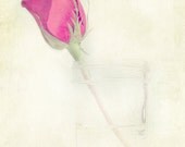 Shabby Rose Photography - Printable Download - Fine Art - Flower Photography - Art Print - Home Decor - Romantic