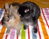 pet mat bed for bunny rabbits small to medium red blue pink green and orange cotton