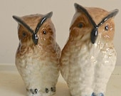 Vintage Owl Salt & Pepper Shakers.Bone China.Bird.Animal.Cottage Decor
