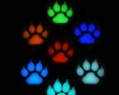 Glowing Wolf Pawprint - Glow in the Dark Necklace - Wolf Necklace - Dog Pawprint - Cat Pawprint - Animal Footprint - Pet Necklace