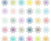 INSTANT DOWNLOAD // Digital Clip Art // Clip Art Flowers // Spring Summer Flower Clipart // Flower Petals, Nature Clip Art Il_170x135