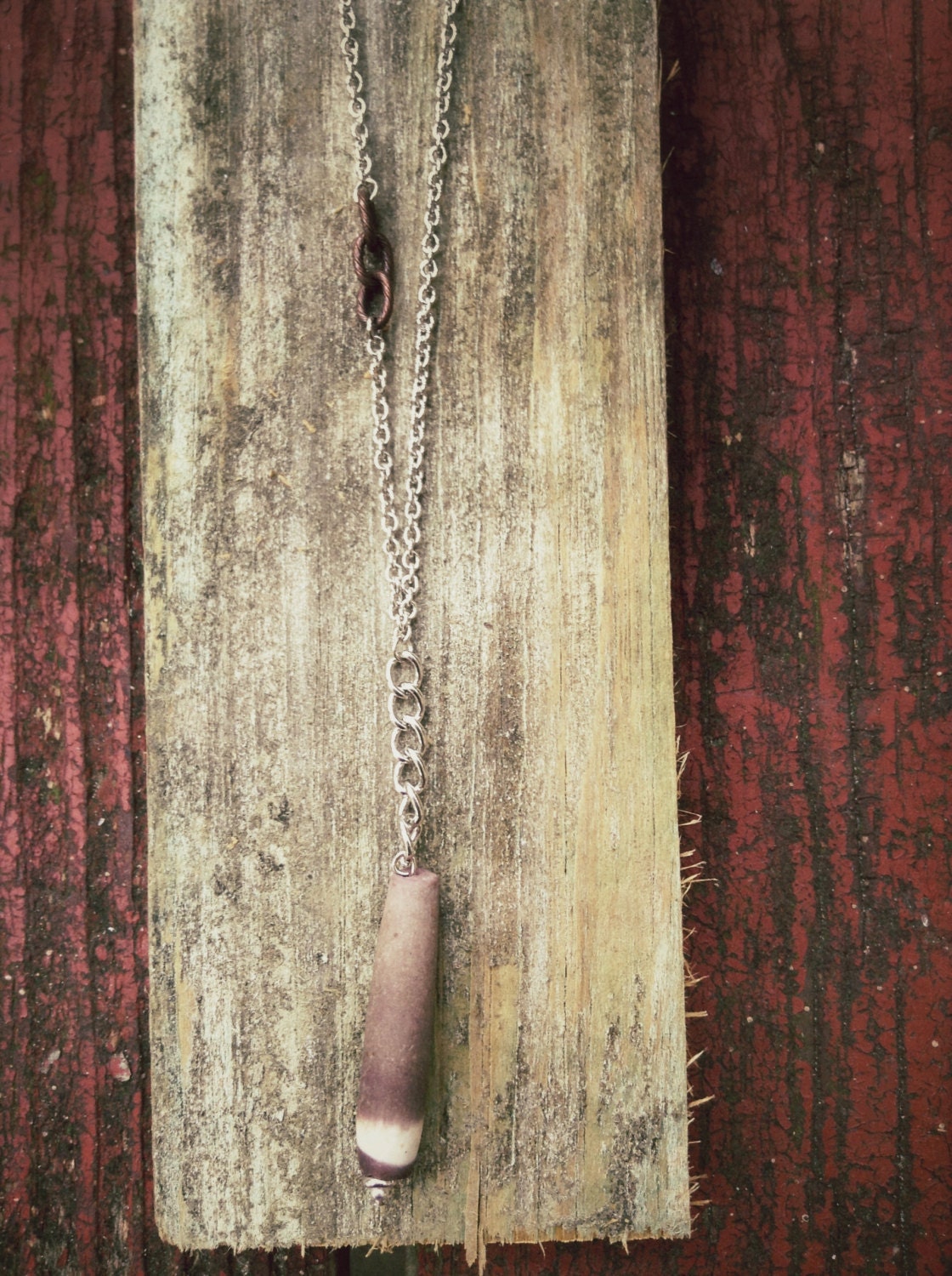 cora sea creature- sea urchin spine