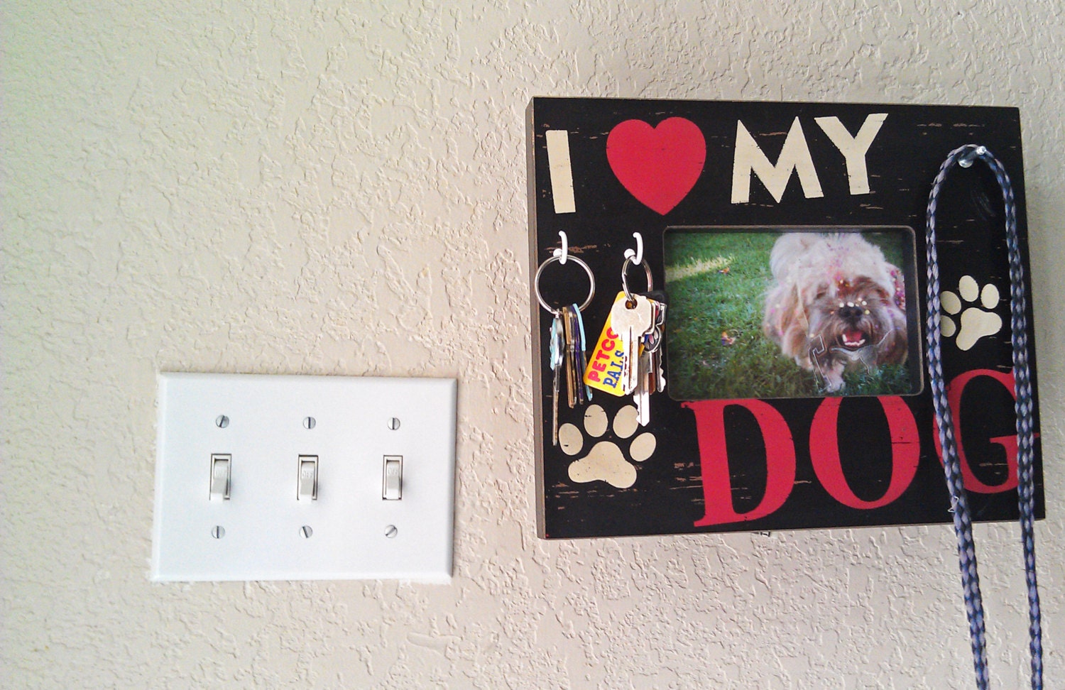 Non-Profit Pet Leash and Key Rack, Dog Lover Black and Red Decorative Frame Key Holder- Stand & Wall Mount