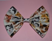Cat Bow - Large