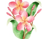 Frangipani Watercolor Painting Giclee Print Fine Art Painting Pink Flower Buds Green Stems Leaf Leaves Nature Spring 8 1/2 x 11