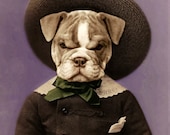 Dog Art, Bulldog, Mixed Media Collage Print, "Clifford" 8 x 10 Altered Antique Portrait, Anthropomorphic Art, Watchful Crow