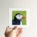 Miniature Puffin Portrait - Small Art Print 3x3
