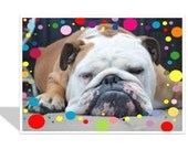 Bulldog birthday card  English bulldog card  Border of colorful polka dots  Relaxing birthday  Exercise