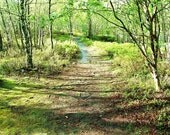 Sweet Greens - 5x7 Fine Art Forest Landscape Photography Print - Beautiful Scotland Scenery Wall Picture
