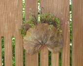 Medium Clay Leaf Wall Pocket - Made with Real Geranium Leaf - Plant Holder or Dried Arrangement