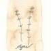 Thyme - 5x7 print - spice, herb, tea and ink illustration