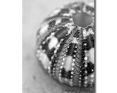 Beach Photography, Sea Urchin Home Decor, Minimalist Macro Black White Gray Beachy Photo, Simple Modern Wall Hanging, 8x12 Original Sea Art