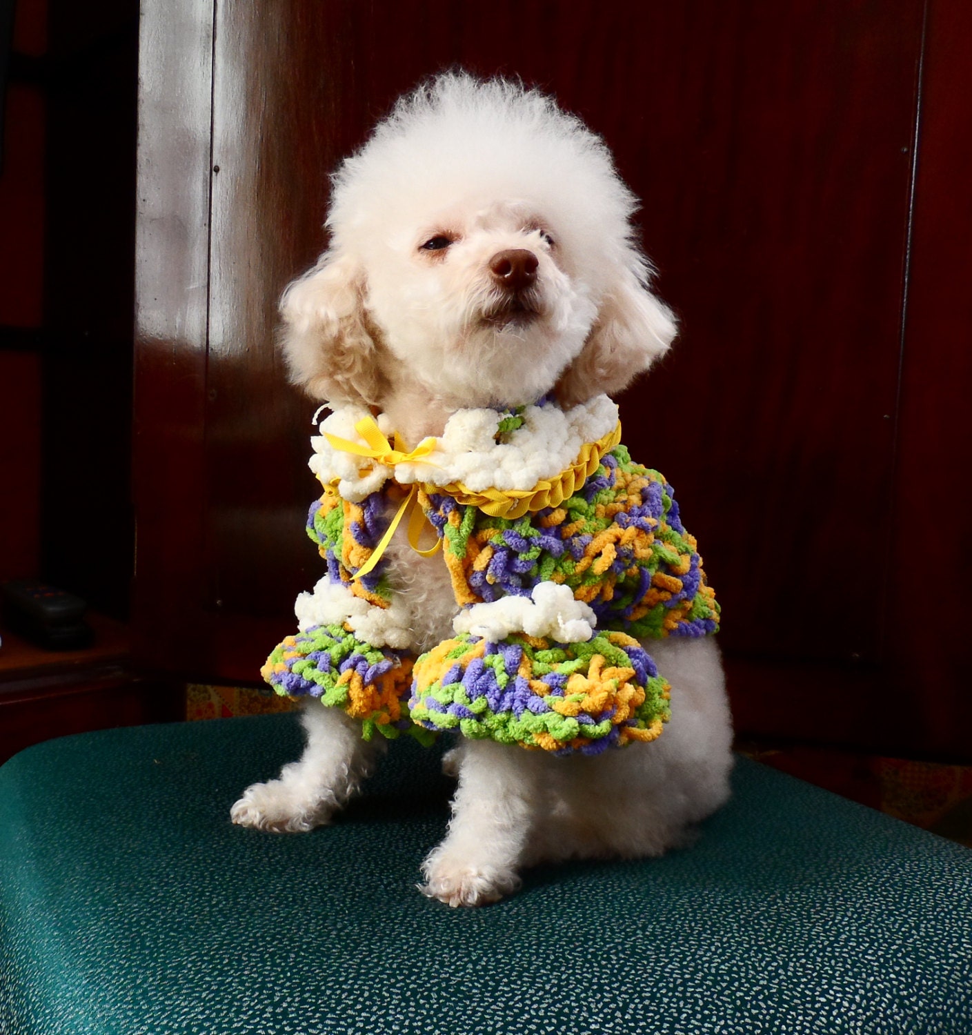 Rainbows n Marshmellows.....Doggy shrug, jacket,sweater, 2013 Spring collection, Yellow, Blue, Green, white, pompom,ribbon,, hand knit in VT - CanineCoutureLTD