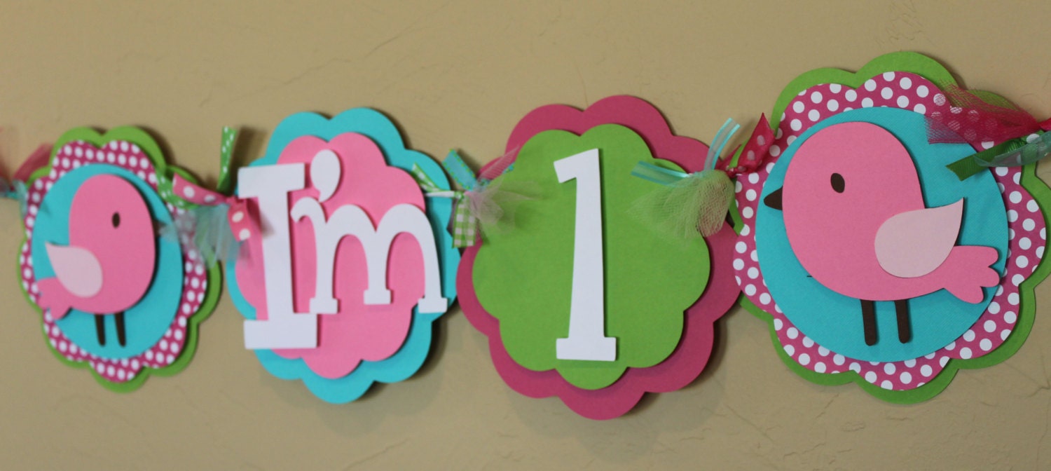 Birdie Highchair Banner Pink Hot Pink Lime Green Turquoise Polka Dot Bird Baby Shower Girl Shabby Chic Party Decorations