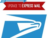 Upgraded Shipping Option - Express