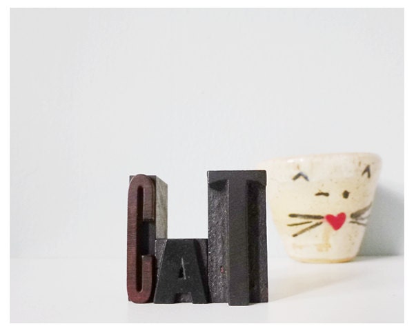 CAT letterpress type word vintage wood letter set