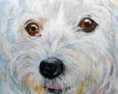 Original ACEO, Custom Pet Portrait from photos, Colored Pencil